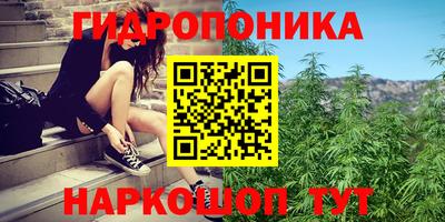 гидра Партизанск
