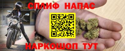 гидра Партизанск