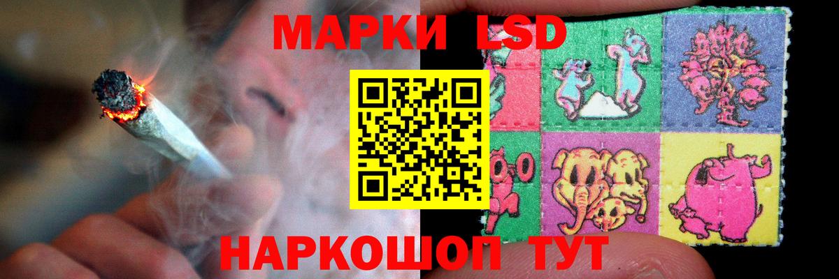 LSD-25 экстази кислота  Вход с VPN  Новороссийск 