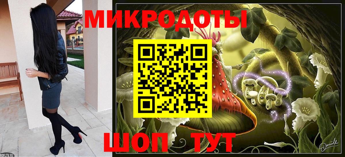 Псилоцибиновые грибы прущие грибы Новороссийск