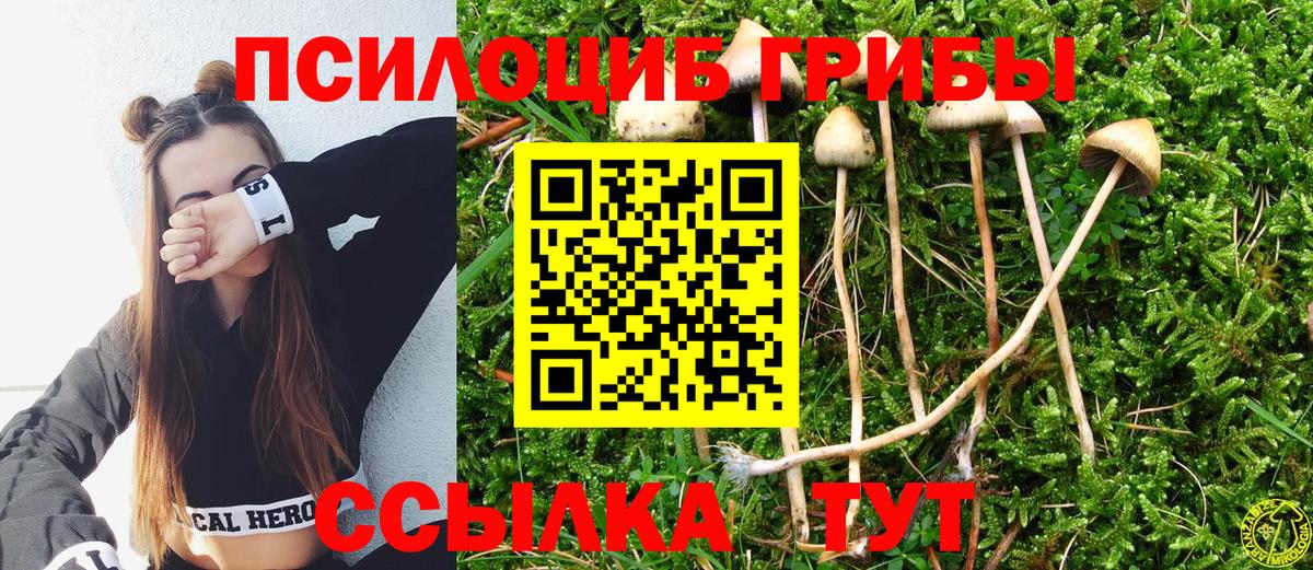 Галлюциногенные грибы мухоморы  Псилоцибиновые грибы Psilocybine cubensis  Новороссийск  Вход с VPN 