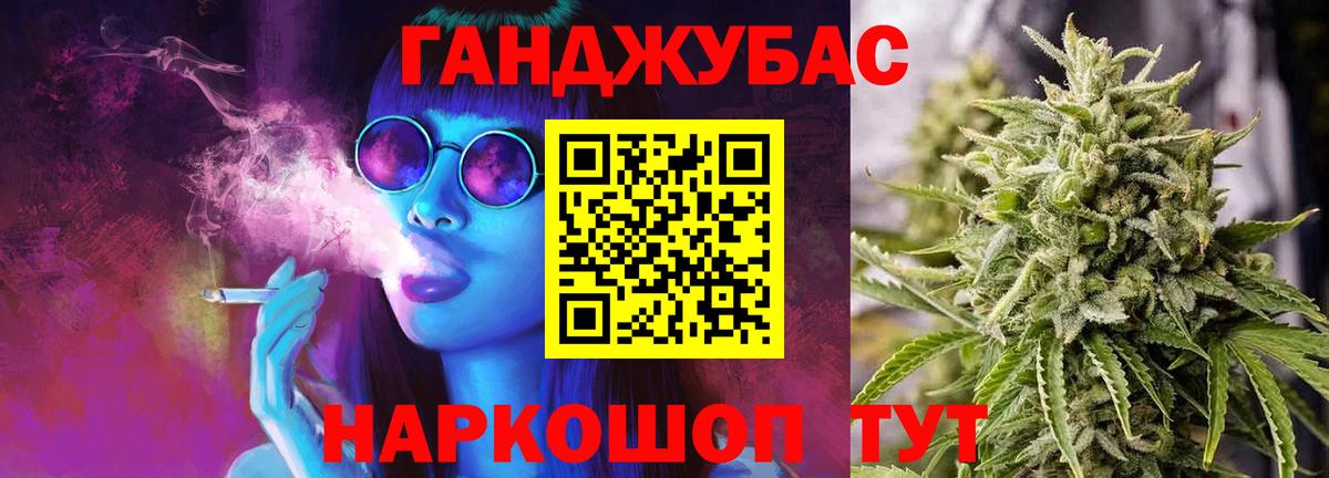 Каннабис сатива Новороссийск